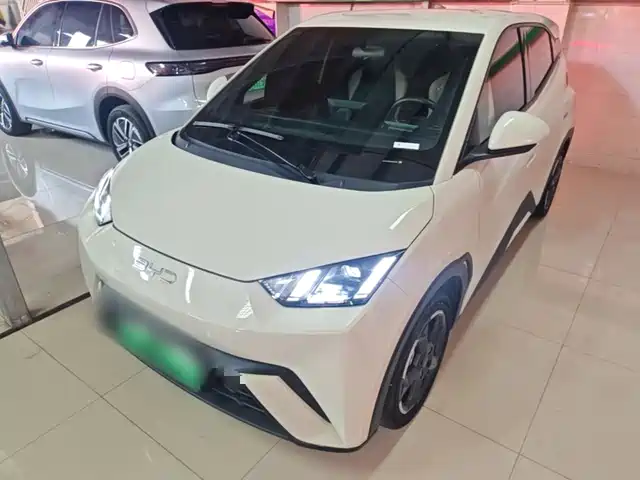 2024 BYD Seagull