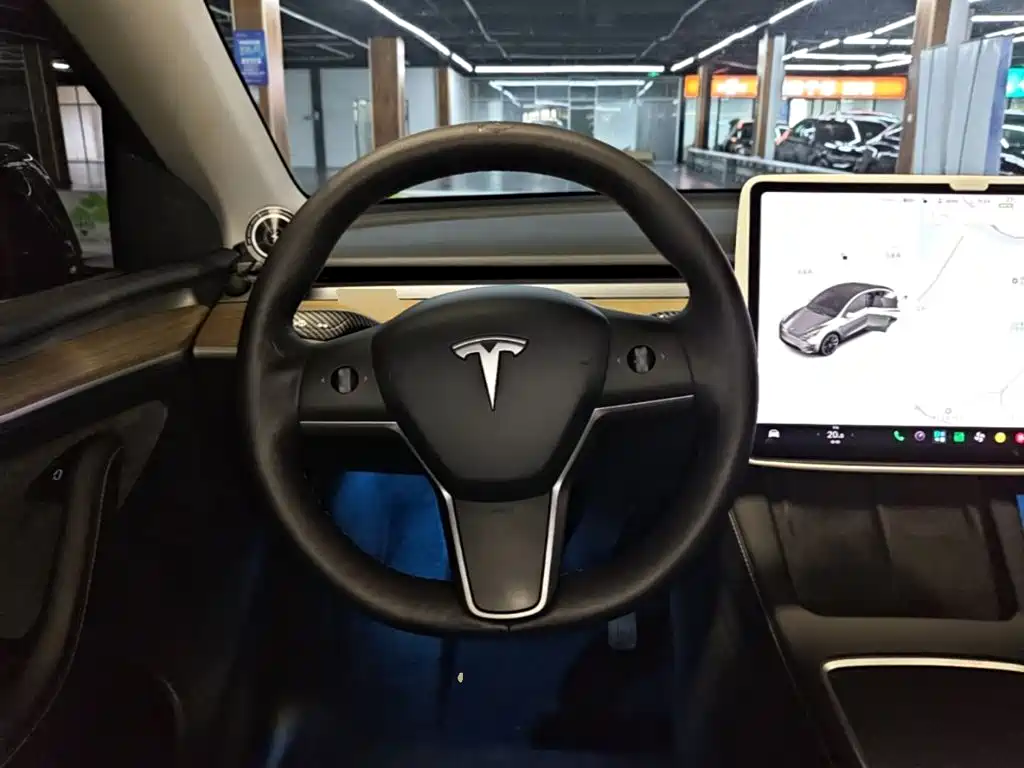 Tesla Model Y — миниатюра 11