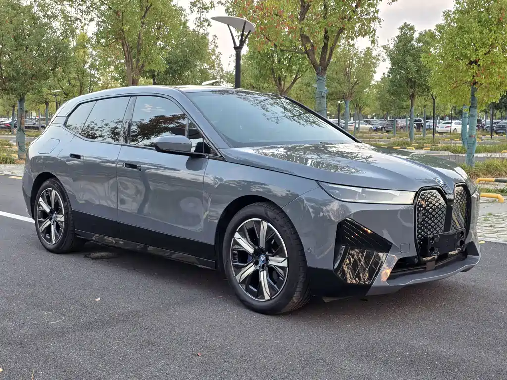 BMW iX — миниатюра 3