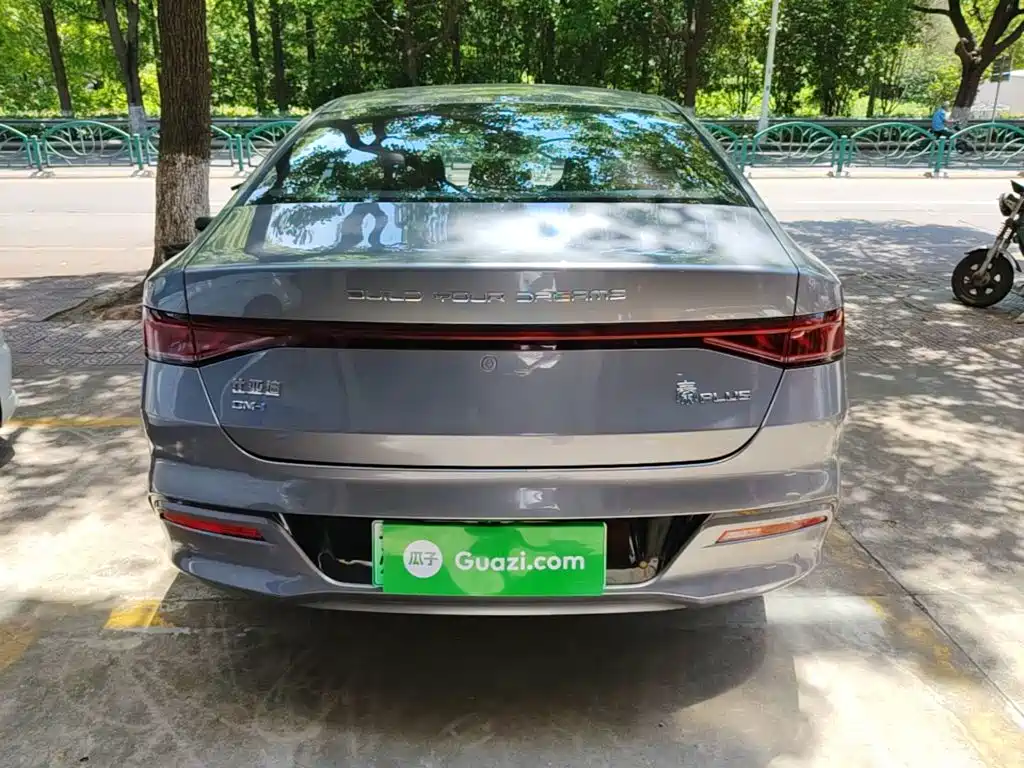 BYD Qin Plus PLUS 2024 DM-i 55KM Lead