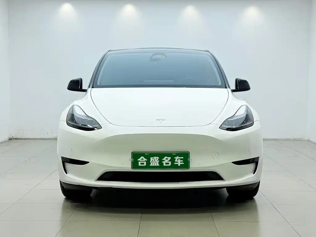 Tesla Model Y — миниатюра 2