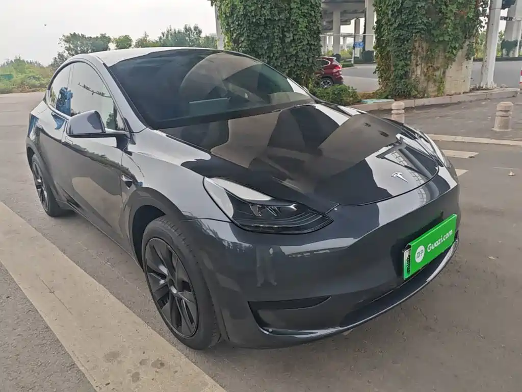 Tesla Model Y — миниатюра 4