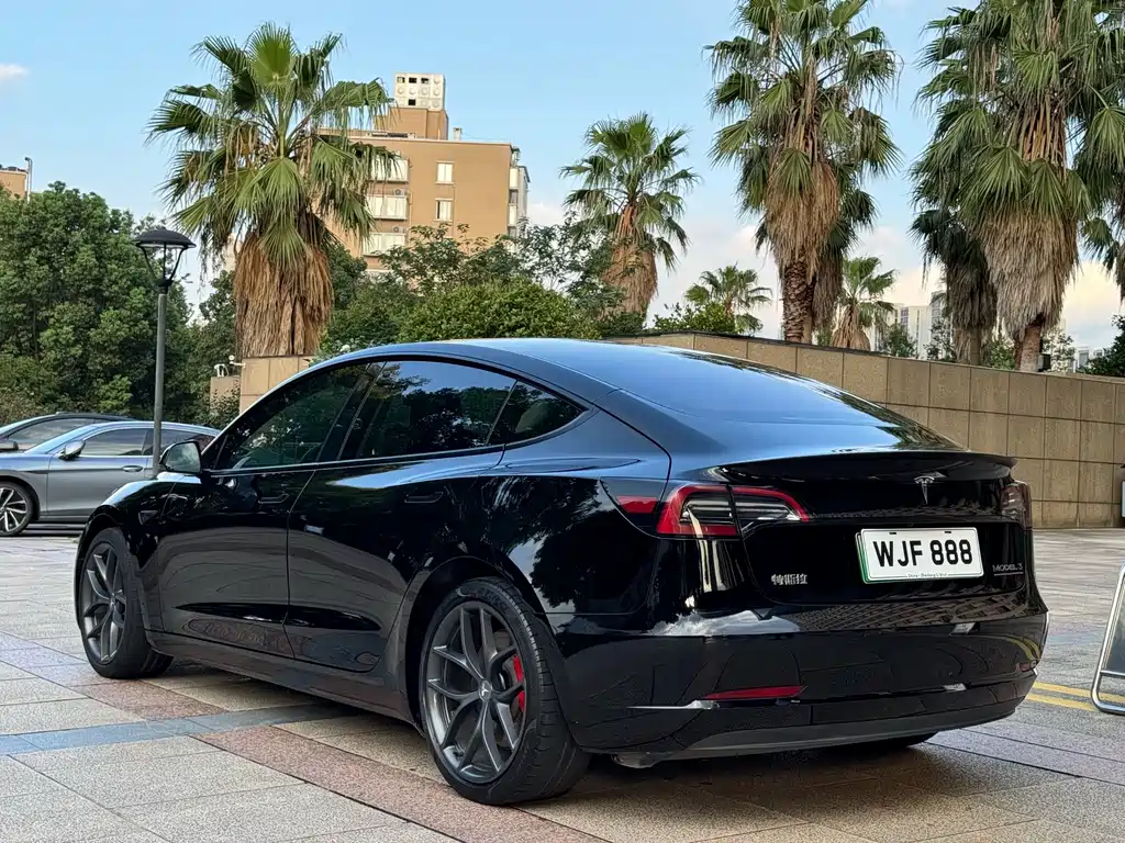 Tesla Model 3 — миниатюра 5