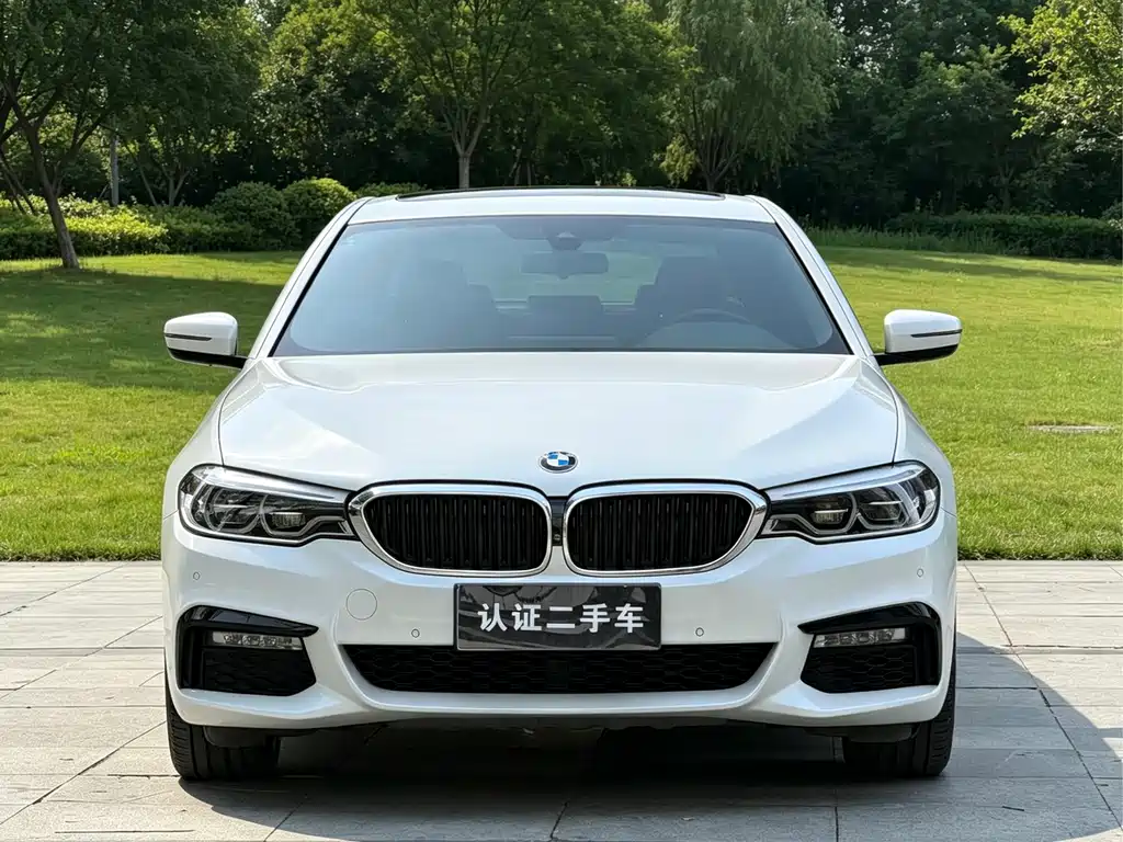 BMW 5 Series — миниатюра 2