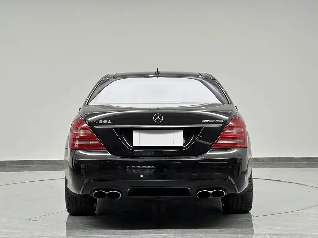 Mercedes-Benz S-Class A MG S AMG 2010 AMG S 65