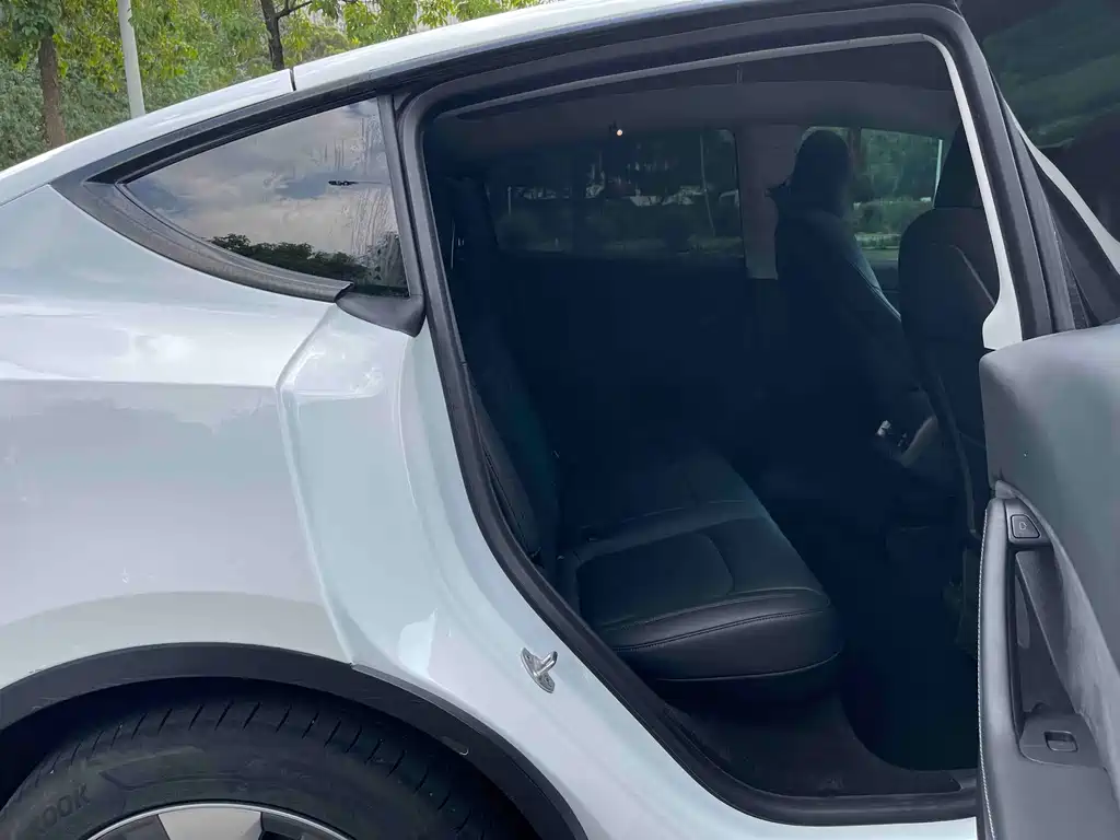 Tesla Model Y — миниатюра 11