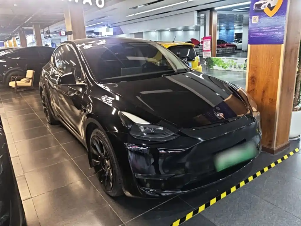 Tesla Model Y — миниатюра 4