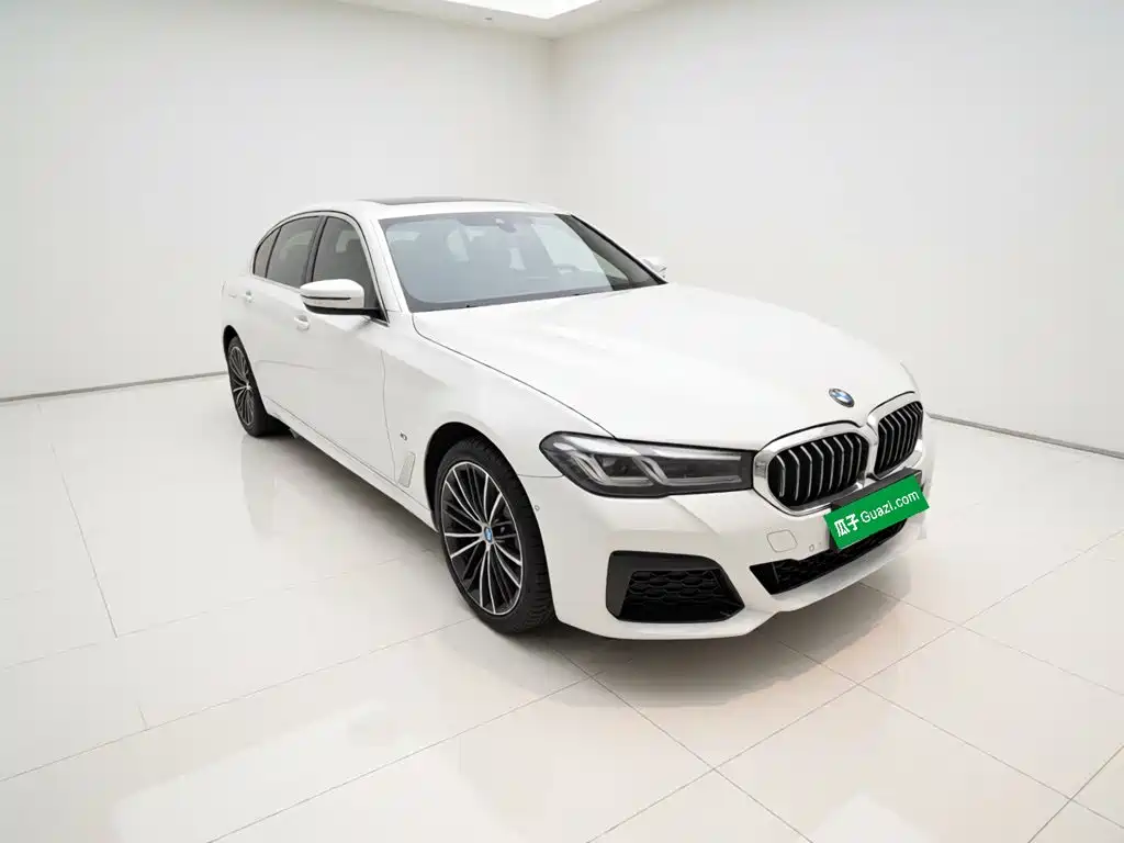 BMW 5 Series — миниатюра 3