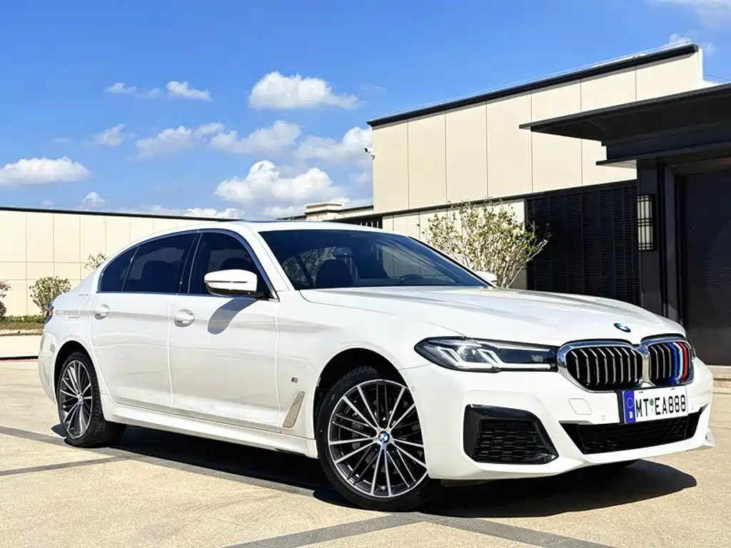 BMW 5 Series — миниатюра 3