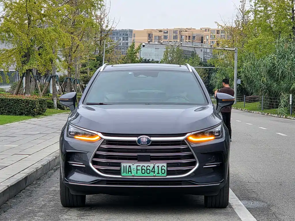 BYD Tang New Energy — миниатюра 2