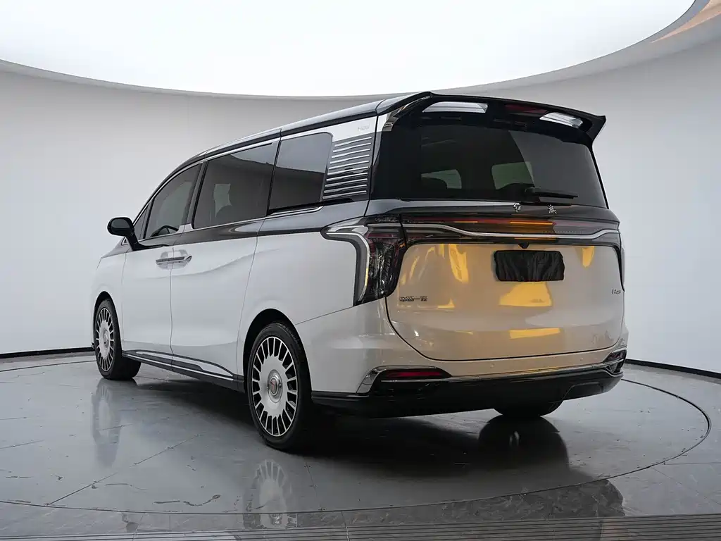 Hongqi Hongqi HQ9 — миниатюра 25
