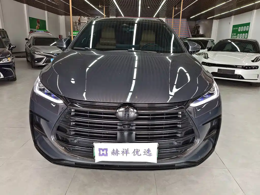BYD Tang New Energy — миниатюра 2