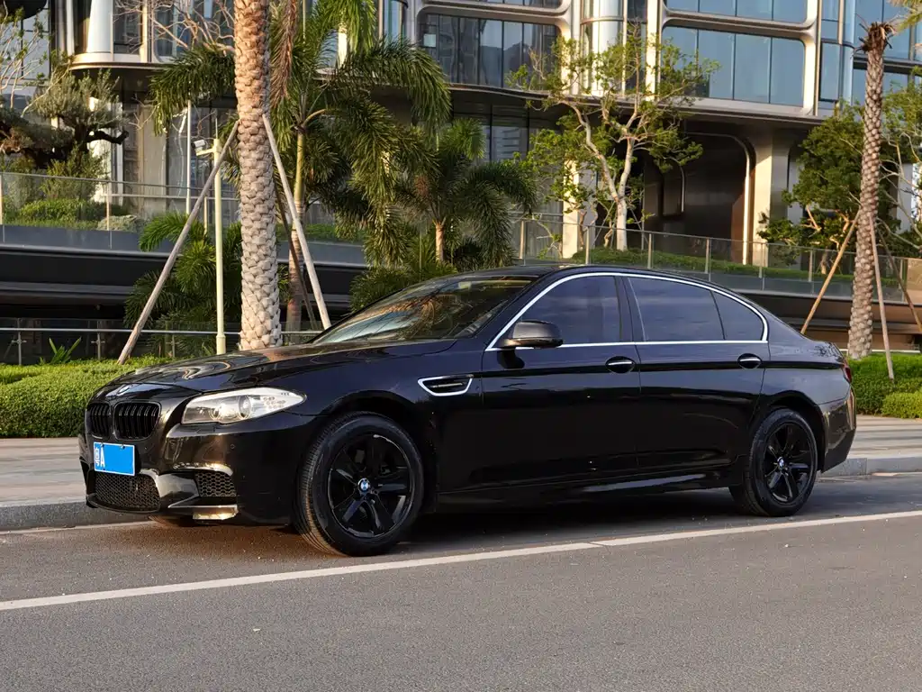 BMW 5 Series 2010