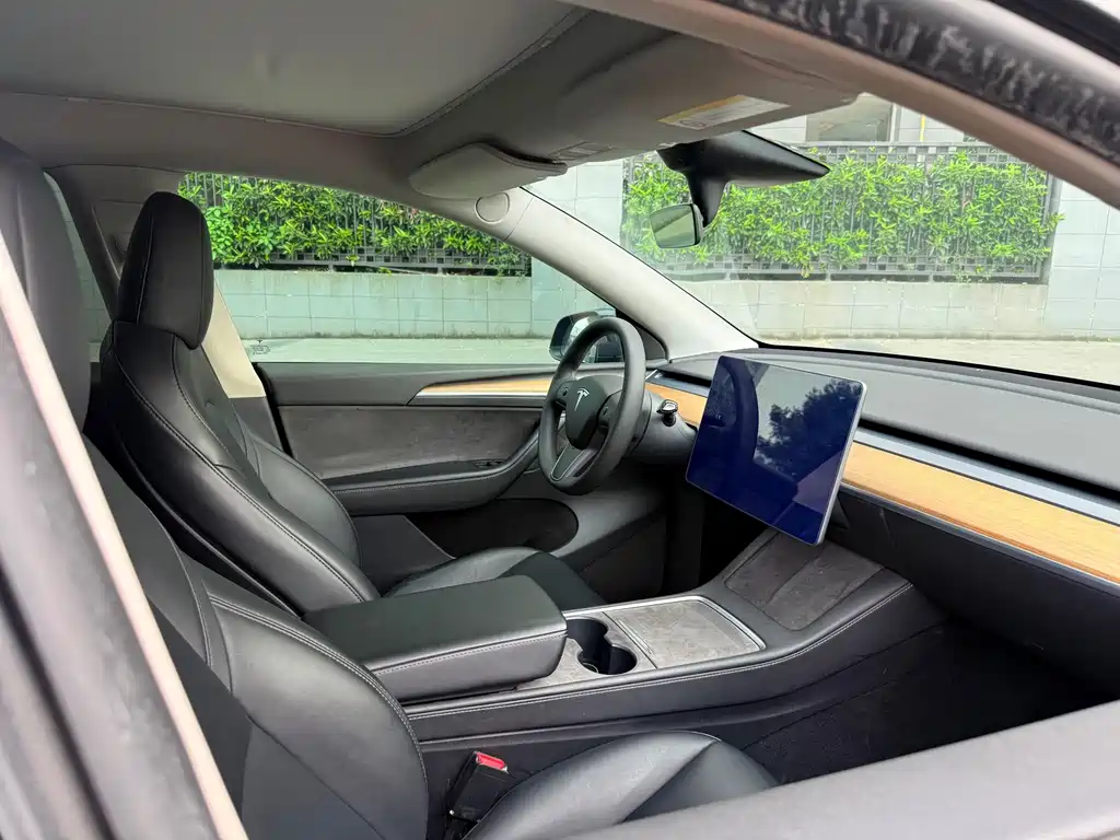 Tesla Model Y — миниатюра 11