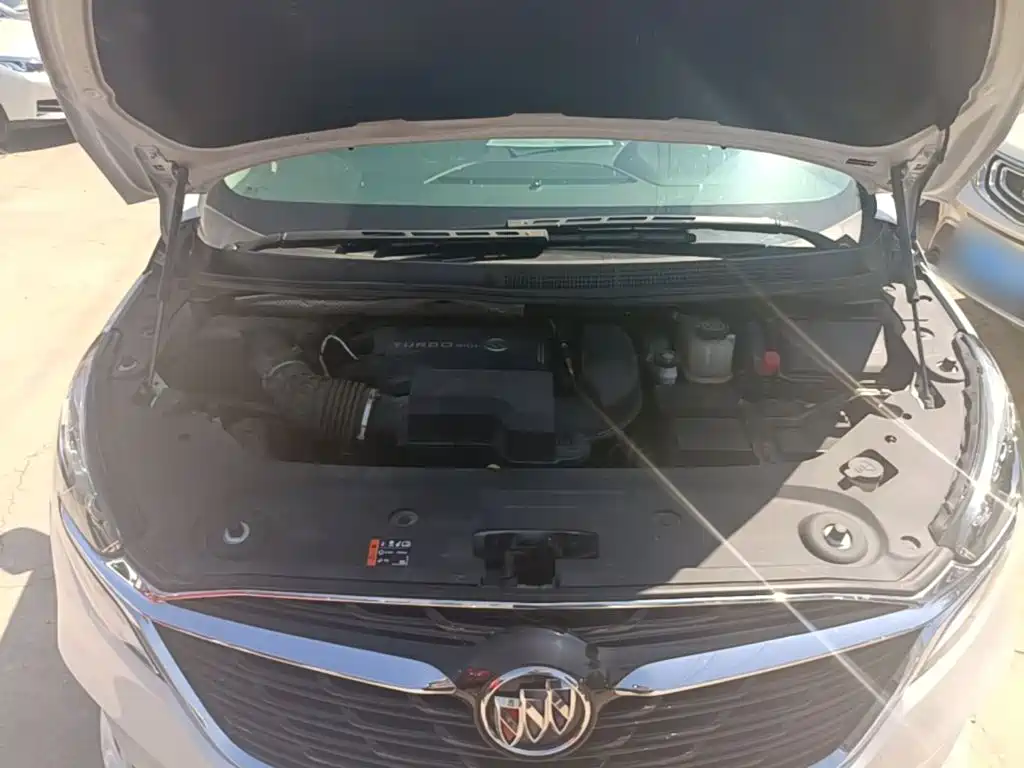 Buick GL8 — миниатюра 20