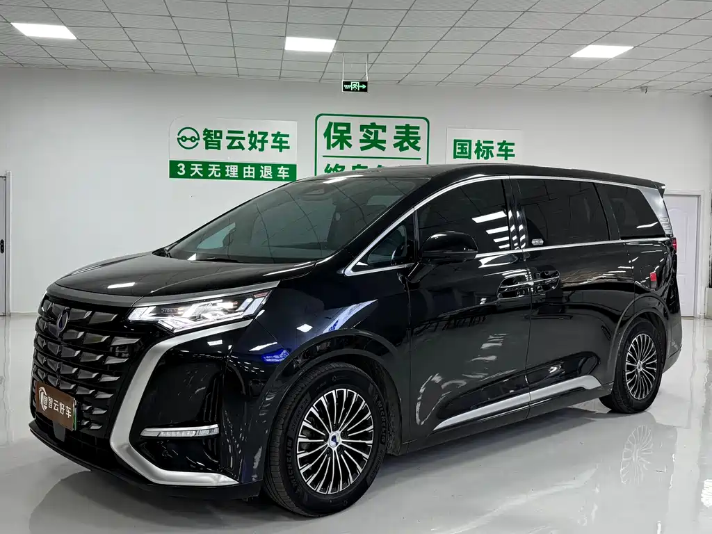 Denza Denza D9