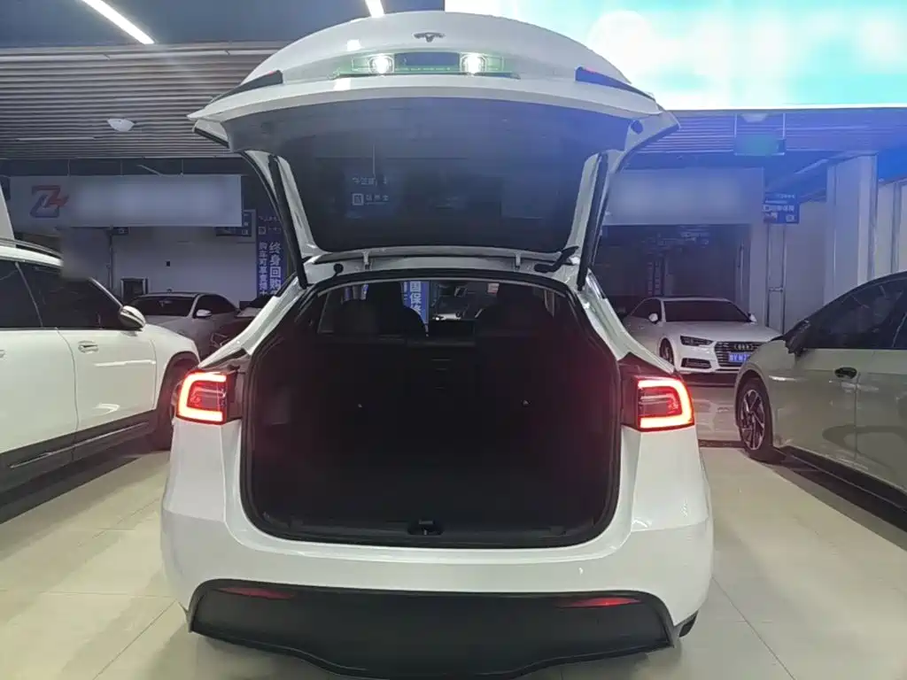 Tesla Model Y — миниатюра 19