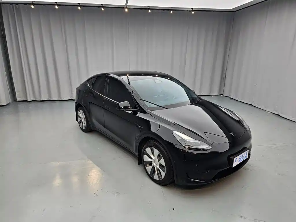 Tesla Model Y — миниатюра 9