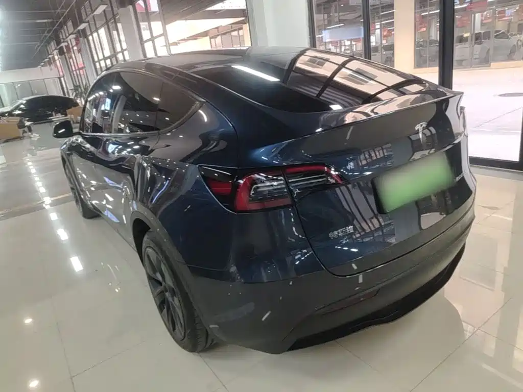 Tesla Model Y — миниатюра 5