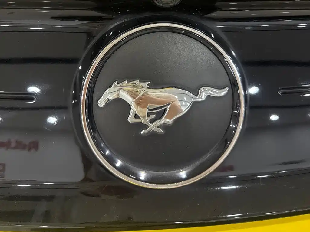 FORD MUSTANG