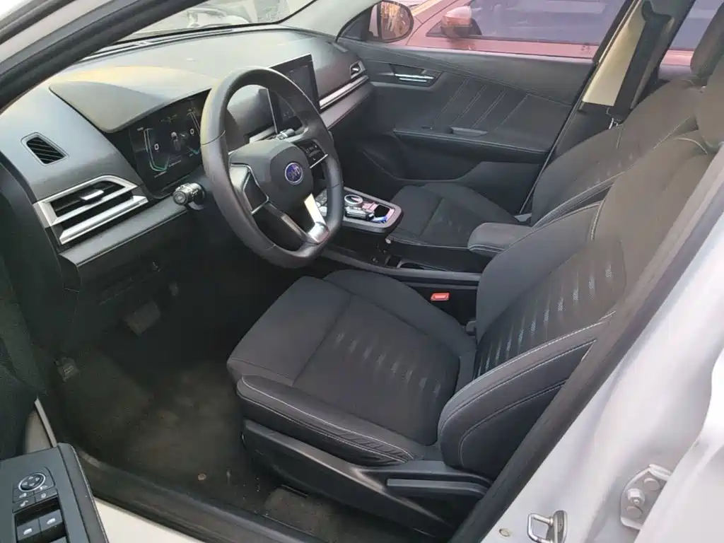 BYD e2 — миниатюра 15