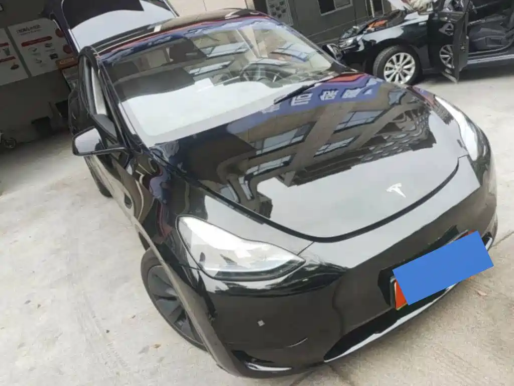 Tesla Model Y — миниатюра 2