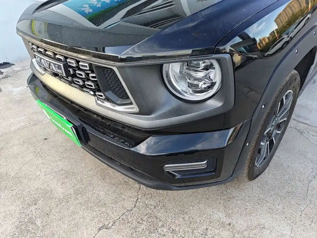 Haval Big Dog PLUS New Energy — миниатюра 24