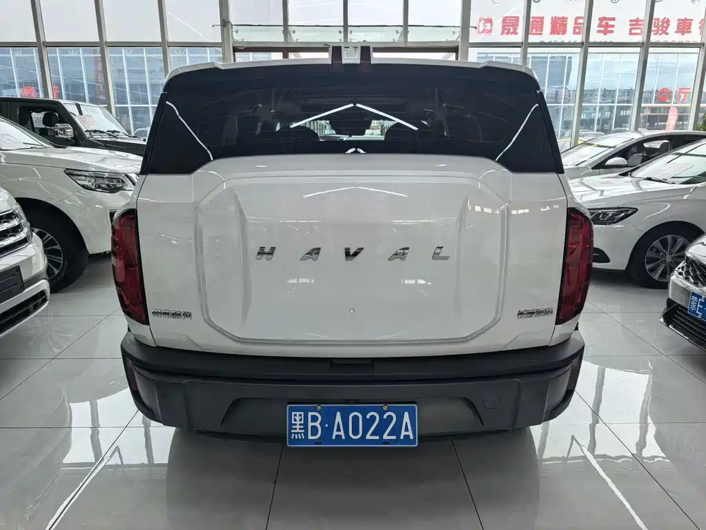 Haval Cool Dog — миниатюра 5