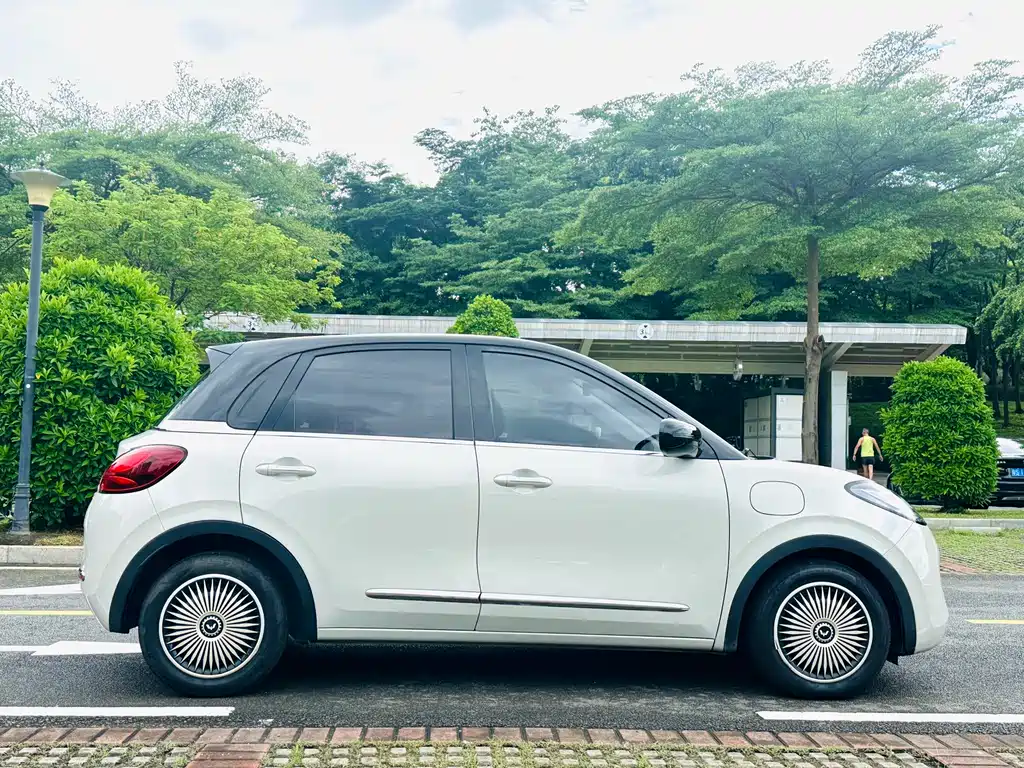 Wuling Binguo 2023 333km Enjoy
