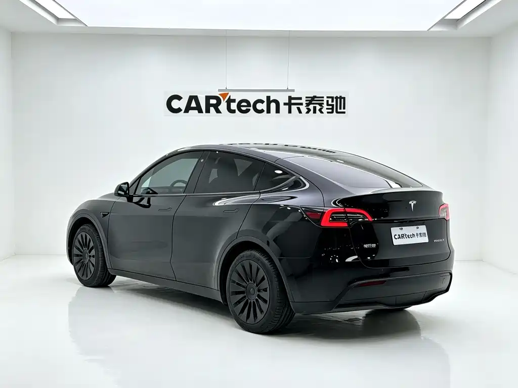 Tesla Model Y — миниатюра 6