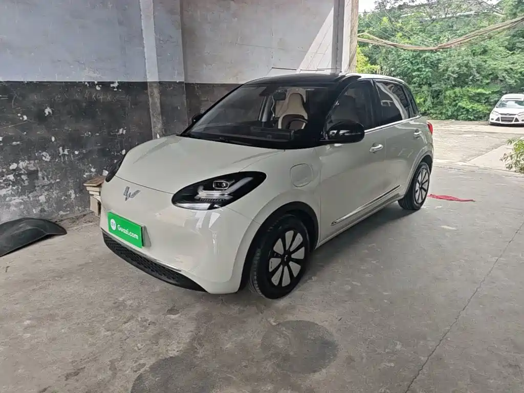 Wuling Binguo 2023 333km Fast Enjoy