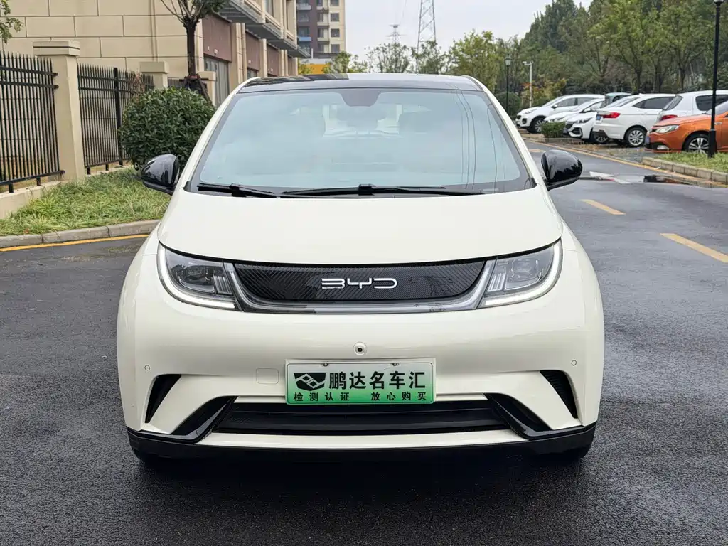 BYD Dolphin — миниатюра 2