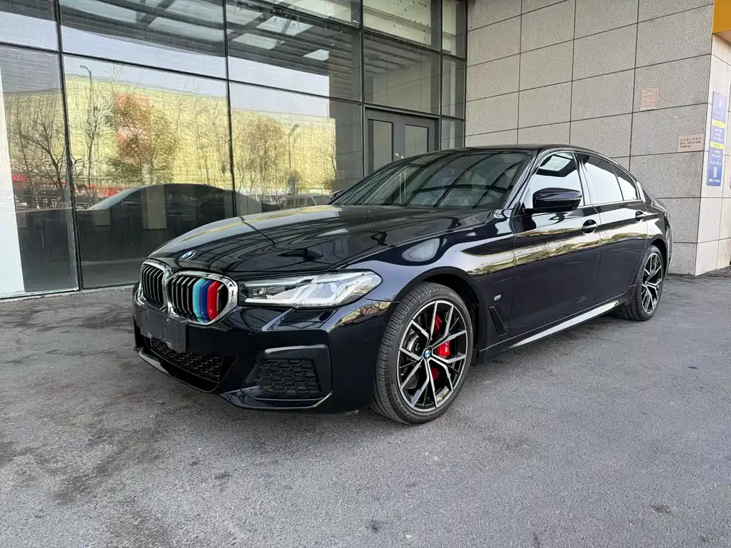 BMW 5 Series (Import) 2021