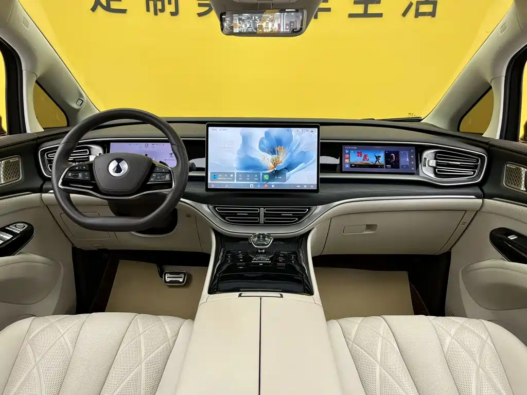 Denza Denza D9 — миниатюра 14