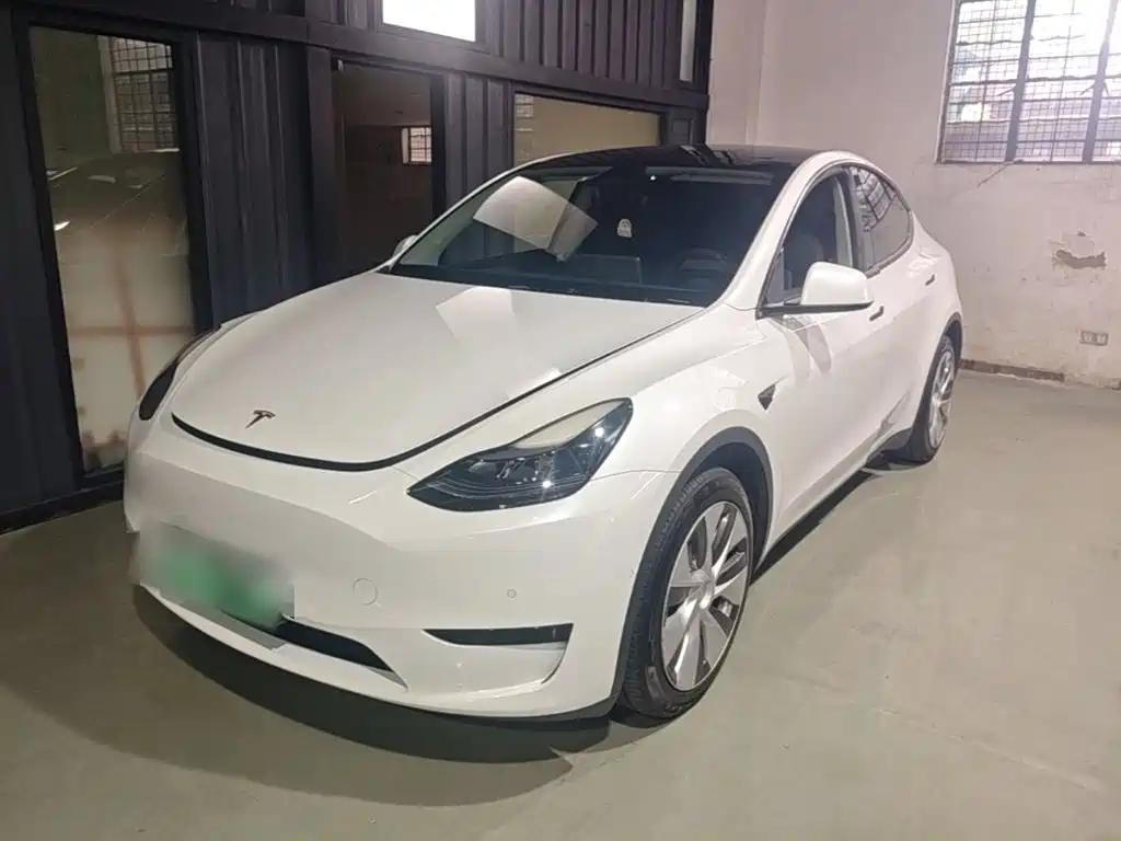 Tesla Model Y — миниатюра 2