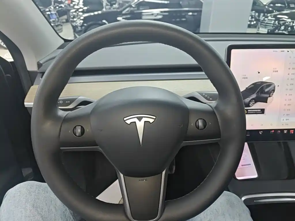 Tesla Model Y — миниатюра 11