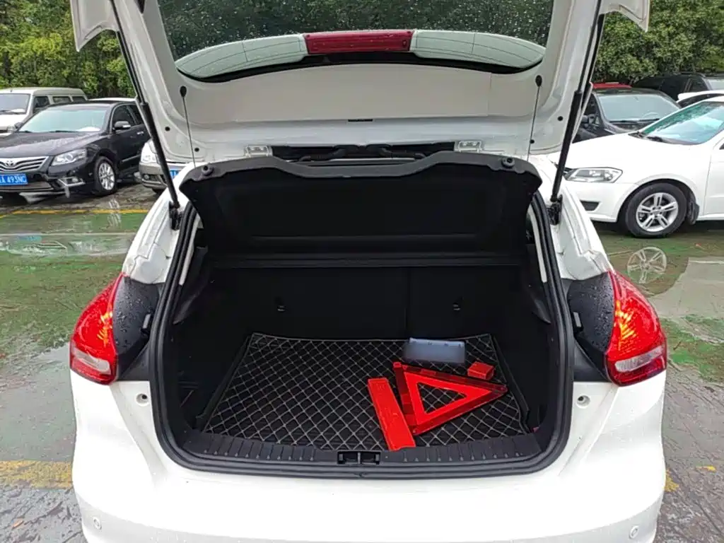 Ford Focus — миниатюра 19