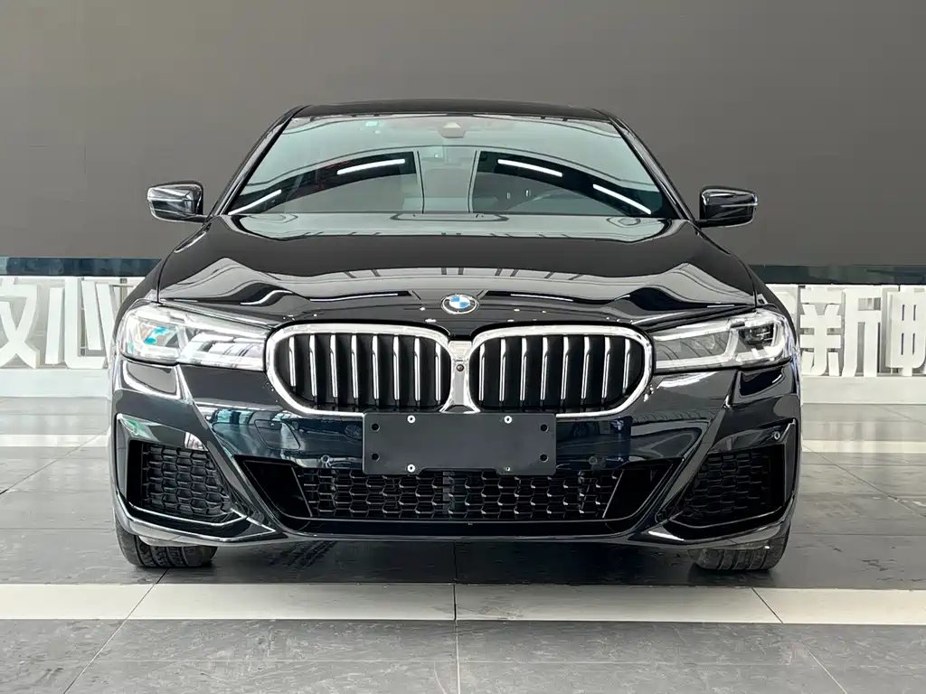 BMW 5 Series — миниатюра 2