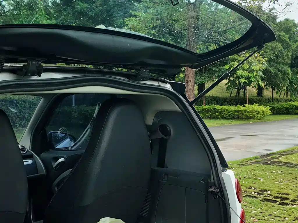 smart Smart Fortwo — миниатюра 55