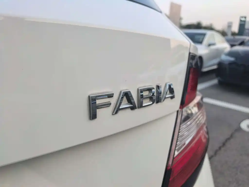Skoda Fabia — миниатюра 15