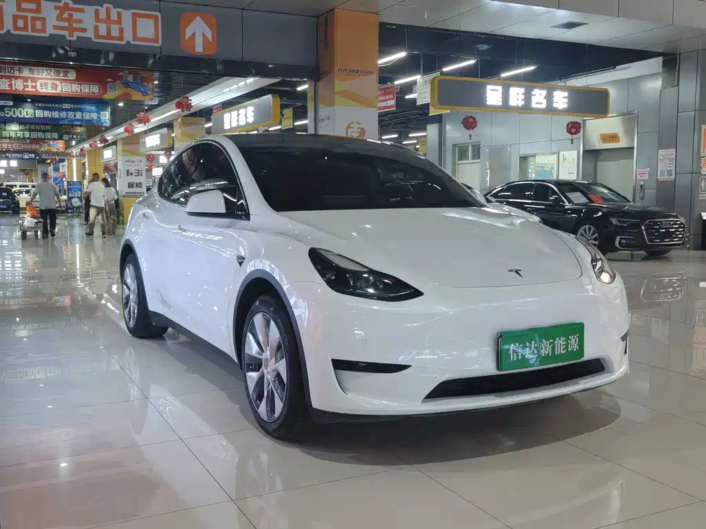 Tesla Model Y — миниатюра 3