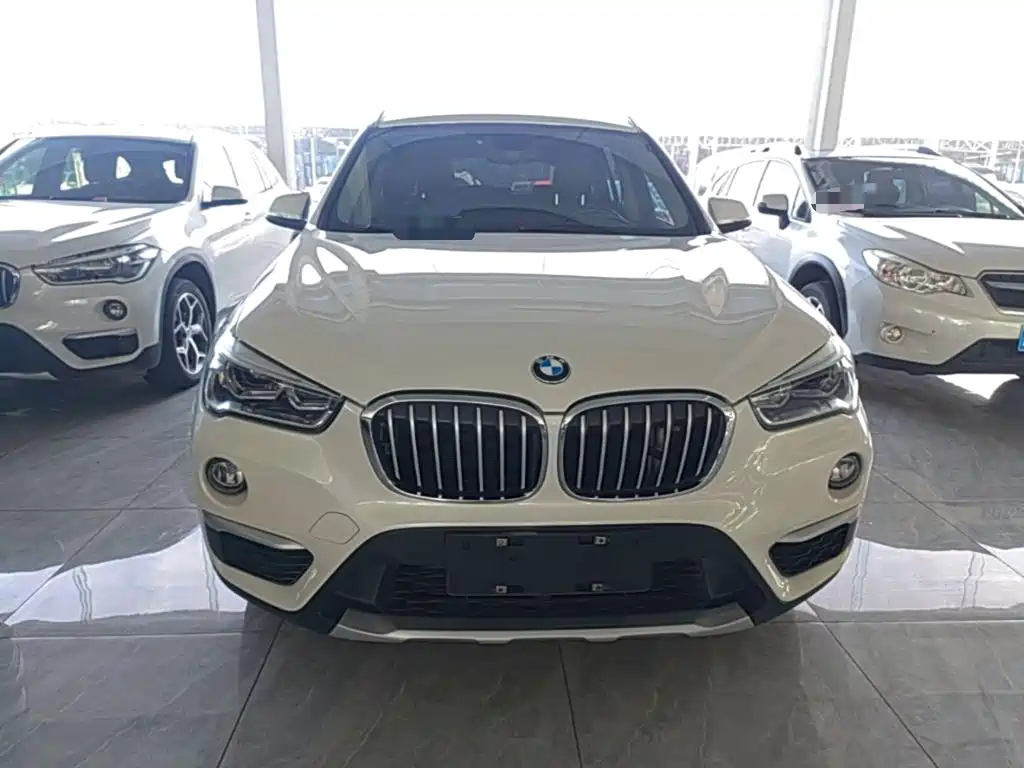BMW X1 — миниатюра 3