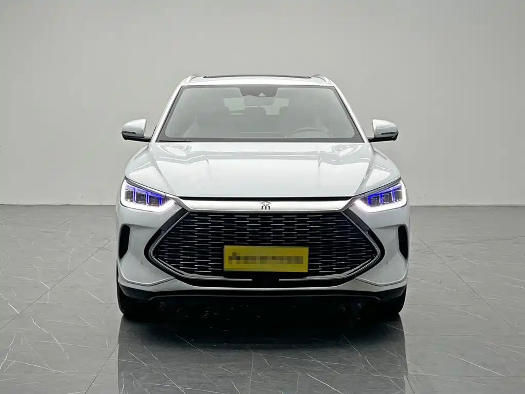 BYD PLUS New Energy — миниатюра 2