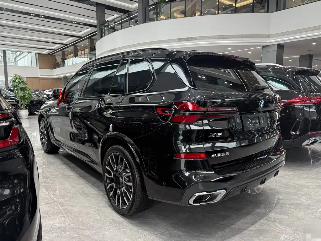 BMW X5 — миниатюра 10