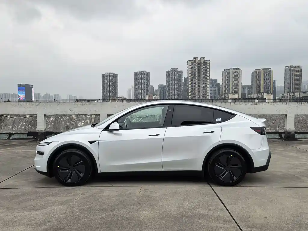 Tesla Model Y — миниатюра 5