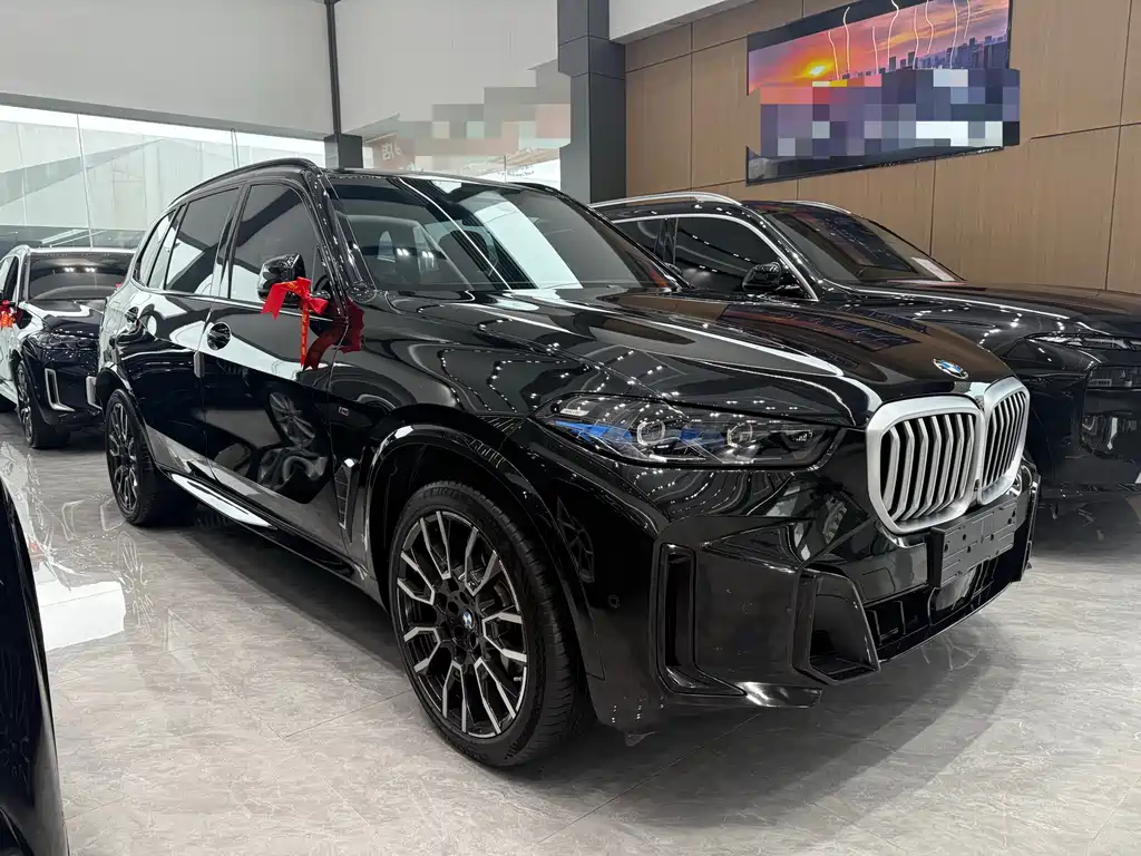 BMW X5 — миниатюра 3
