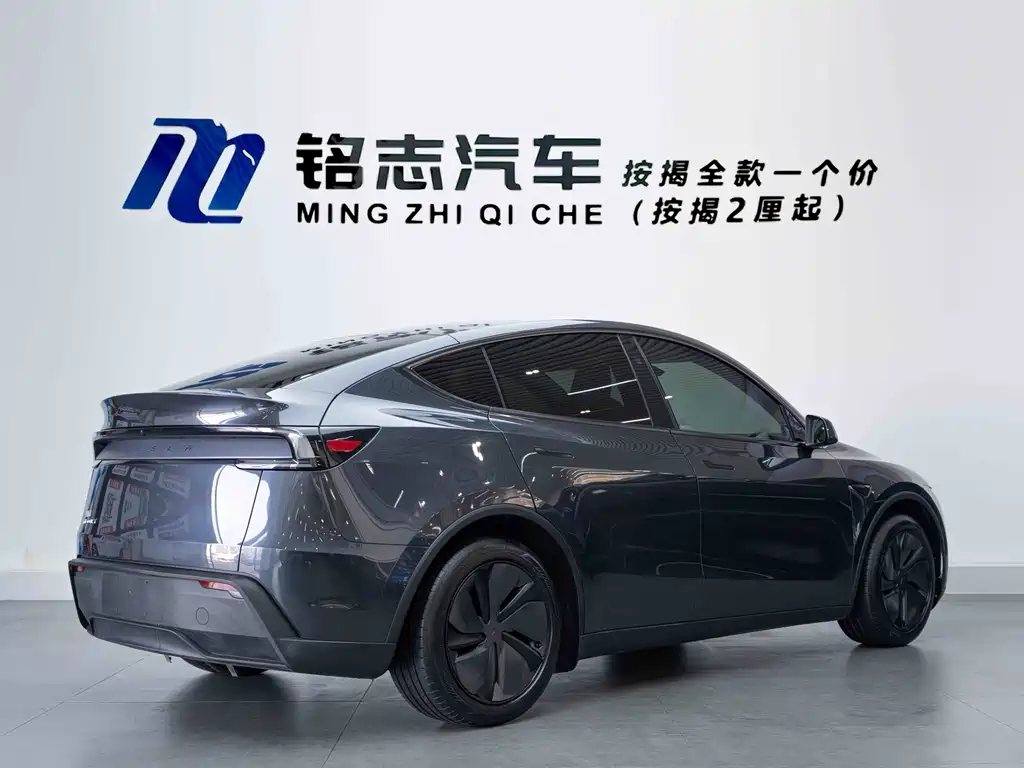 Tesla Model Y — миниатюра 6