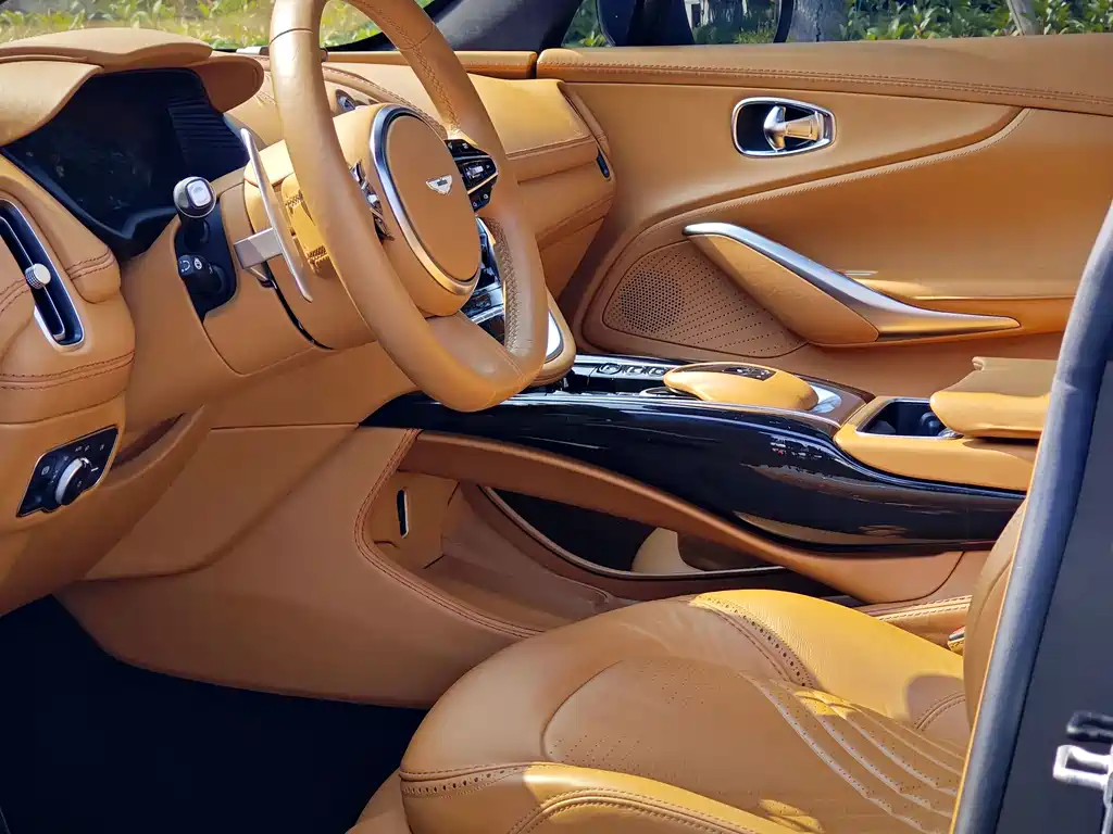 Aston Martin DBX — миниатюра 14