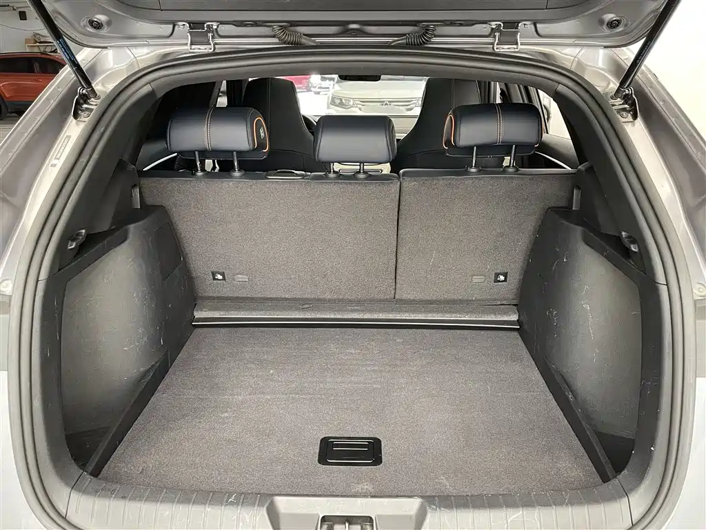 BYD SONGJIANG NEW ENERGY