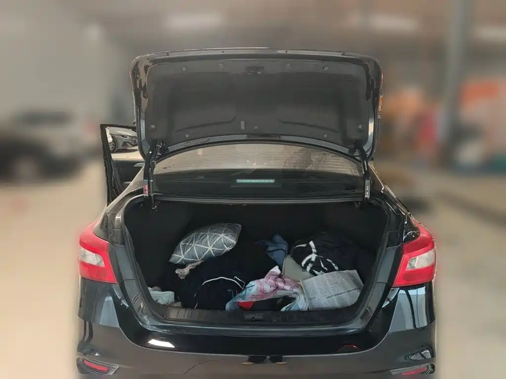 Nissan Sylphy — миниатюра 20